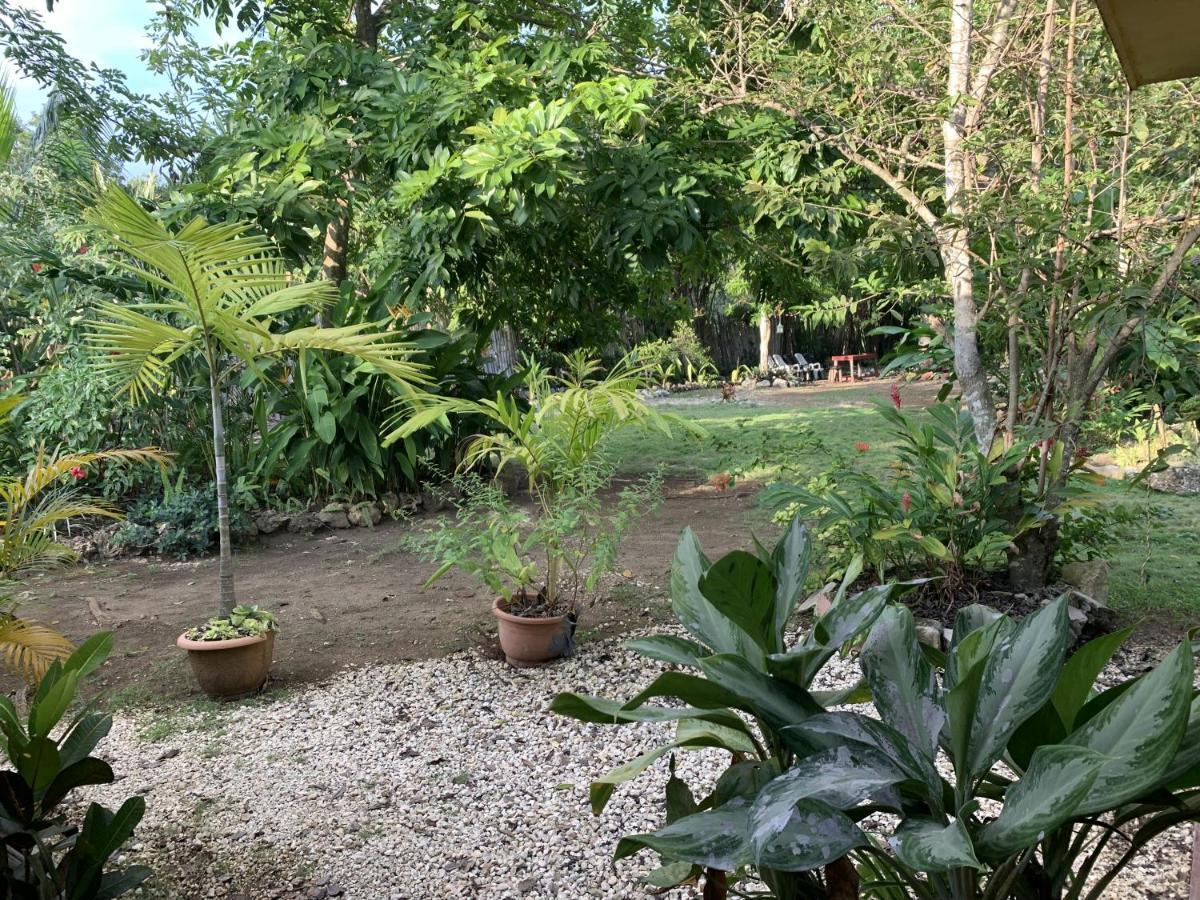 Can Jam Retreat Negril Exterior photo