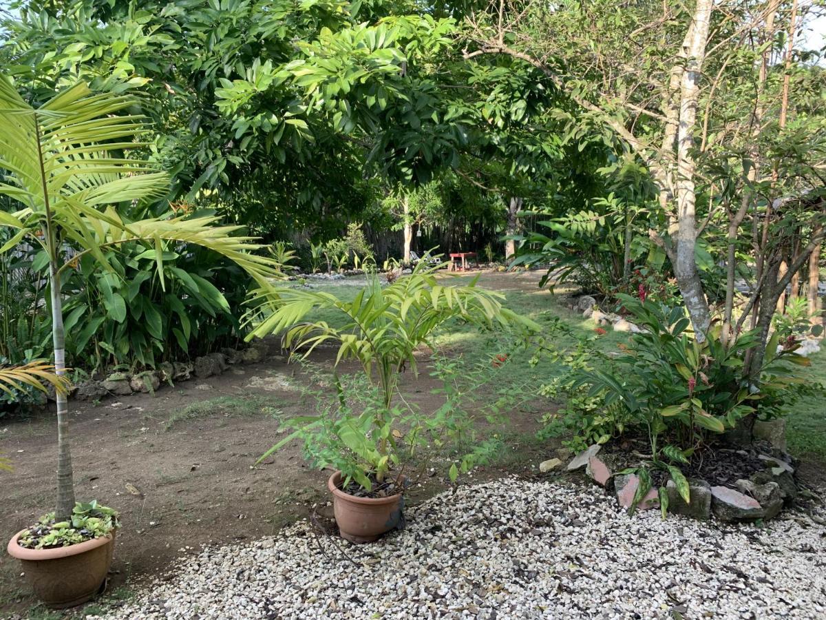 Can Jam Retreat Negril Exterior photo