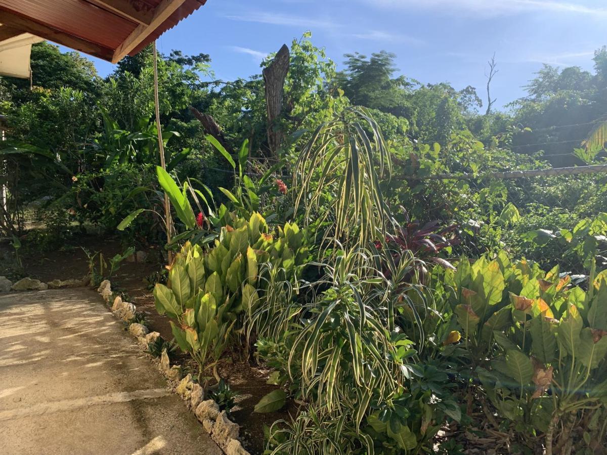 Can Jam Retreat Negril Exterior photo